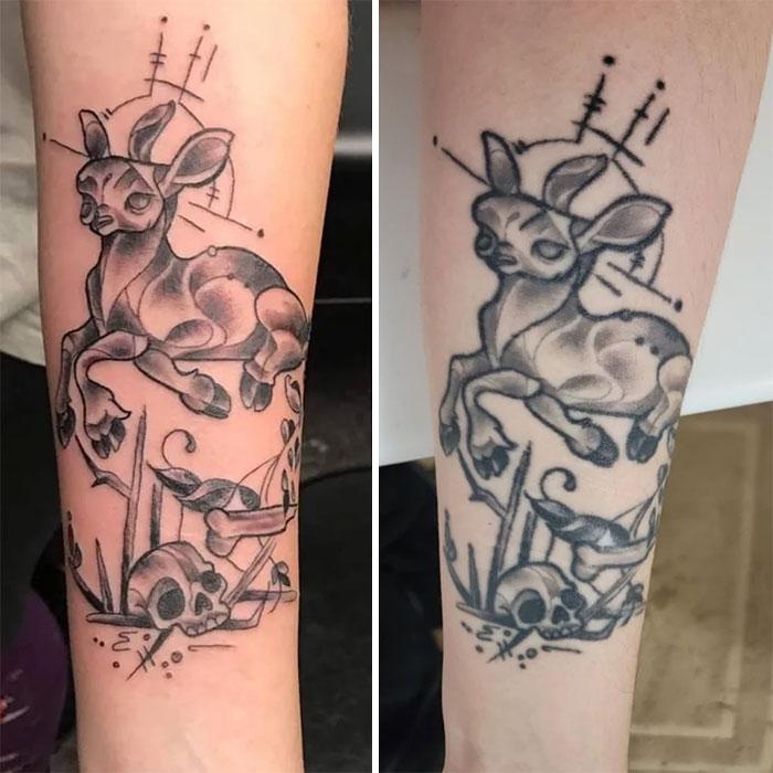 Aged tattoos of a deer show fading and changes over time on forearm skin.