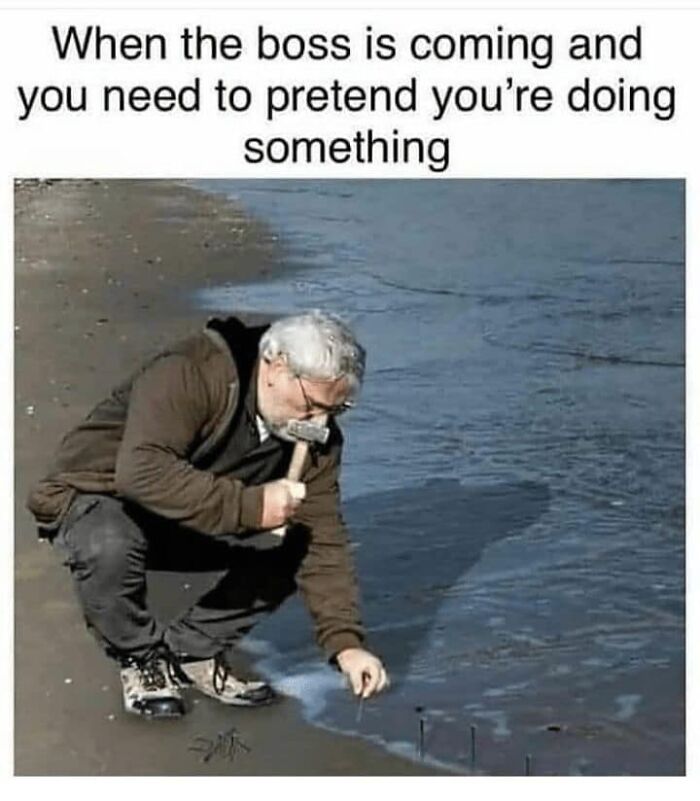 Amusing-Work-Week-Memes