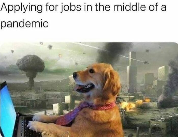 Amusing-Work-Week-Memes