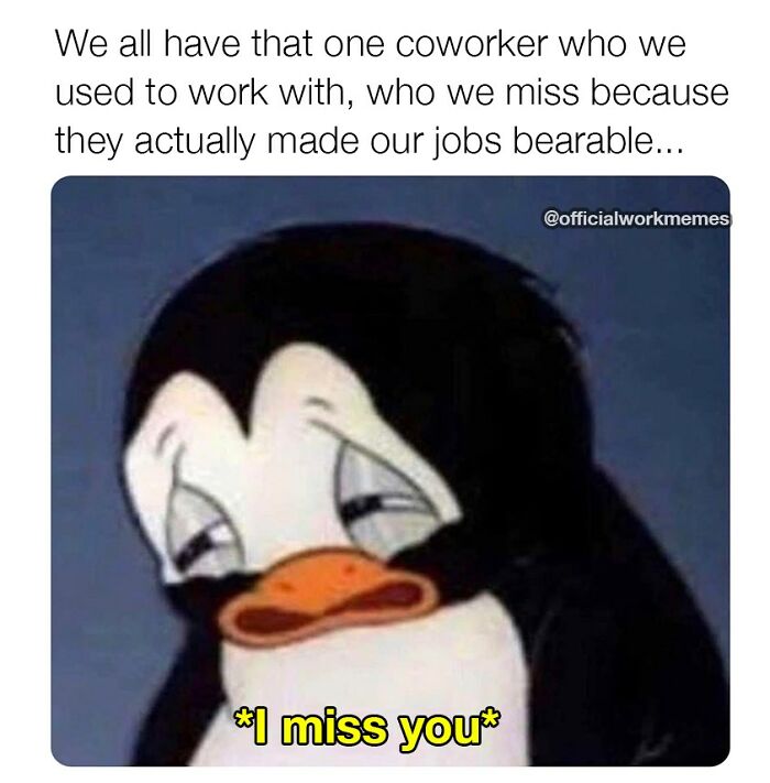 Amusing-Work-Week-Memes