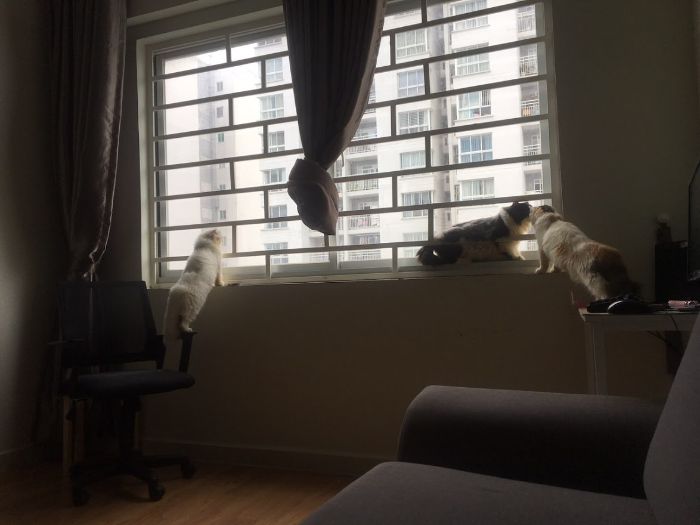 10+ Pet Photos We Feel Warmer Every Day