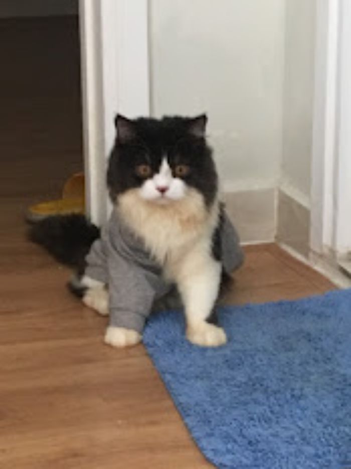 10+ Pet Photos We Feel Warmer Every Day
