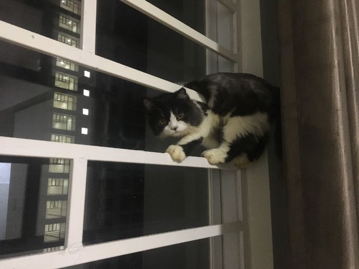 10+ Pet Photos We Feel Warmer Every Day