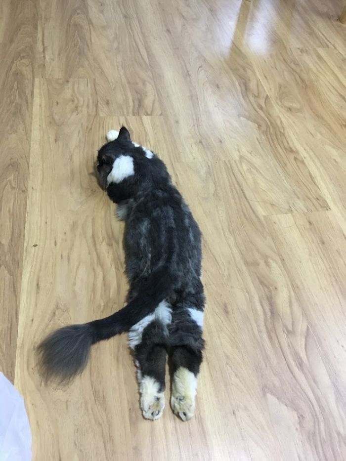 10+ Pet Photos We Feel Warmer Every Day