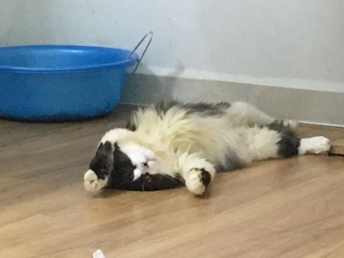 10+ Pet Photos We Feel Warmer Every Day