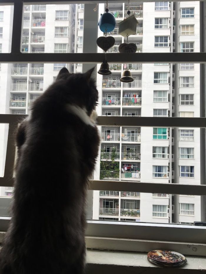 10+ Pet Photos We Feel Warmer Every Day