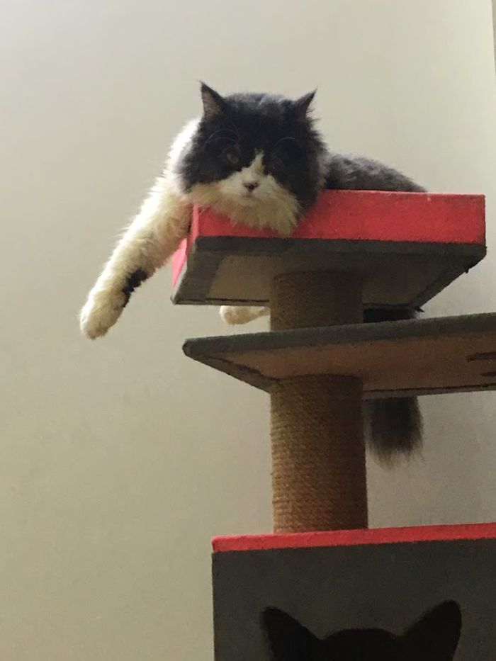 10+ Pet Photos We Feel Warmer Every Day