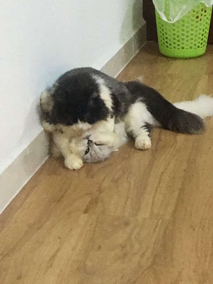 10+ Pet Photos We Feel Warmer Every Day