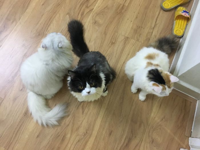 10+ Pet Photos We Feel Warmer Every Day