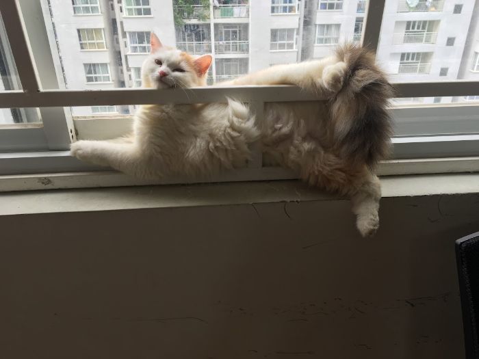 10+ Pet Photos We Feel Warmer Every Day