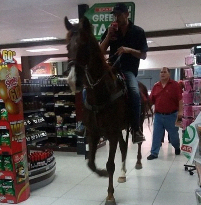 Animals-Places-They-Shouldnt-Be-Pics