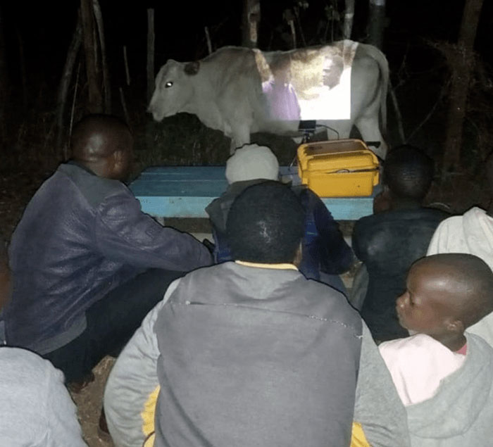 Animals-Places-They-Shouldnt-Be-Pics