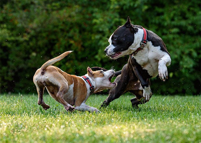 31 Inconsiderate And Disgusting Things People Have No Reason To Do In Public, Yet They Do