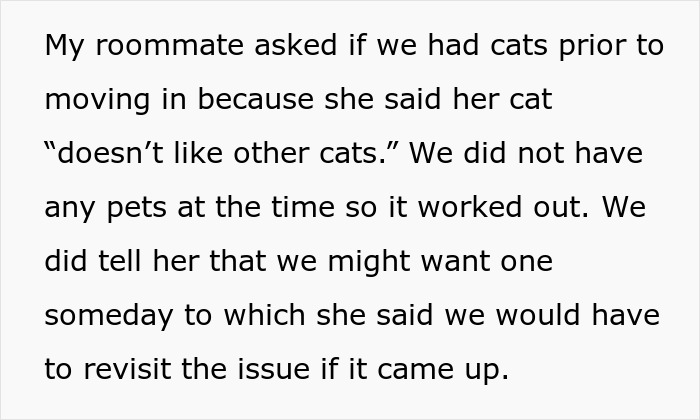Woman Thinks It's Unfair She Has To Tiptoe Around Roommate's Cat's "Asocial" Needs, Starts A Feud After Adopting Her Own Kitten