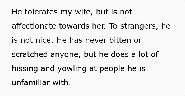 "Her Or The Cat": Man Asks For Advice After Wife Who Went Through Stillbirth Refuses To Allow His Beloved Pet Back In The House