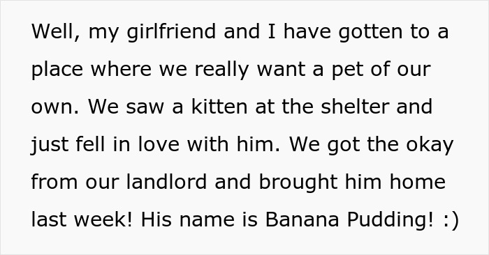 Woman Thinks It's Unfair She Has To Tiptoe Around Roommate's Cat's "Asocial" Needs, Starts A Feud After Adopting Her Own Kitten