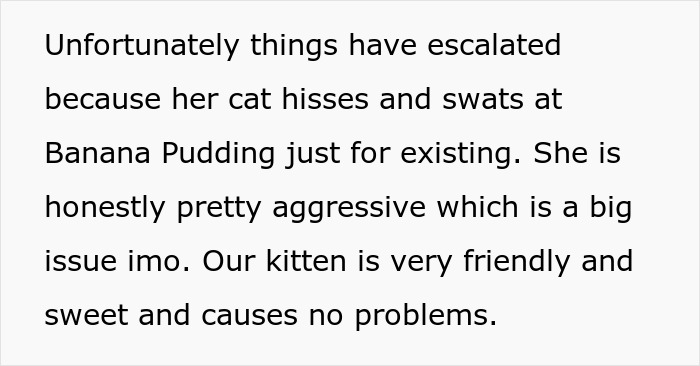 Woman Thinks It's Unfair She Has To Tiptoe Around Roommate's Cat's "Asocial" Needs, Starts A Feud After Adopting Her Own Kitten