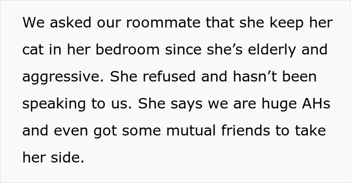 Woman Thinks It's Unfair She Has To Tiptoe Around Roommate's Cat's "Asocial" Needs, Starts A Feud After Adopting Her Own Kitten