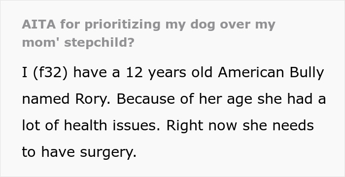 Woman Chooses Her 12 Y.O. Dog Over Her Mom’s 5 Y.O. Stepson, Gets Called A Jerk Woman Chooses Her 12 Y.O. Dog Over Her Mom’s 5 Y.O. Stepson, Gets Called A Jerk