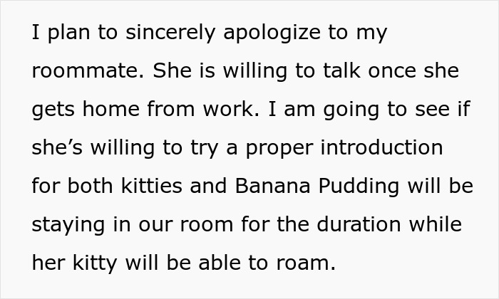Woman Thinks It's Unfair She Has To Tiptoe Around Roommate's Cat's "Asocial" Needs, Starts A Feud After Adopting Her Own Kitten