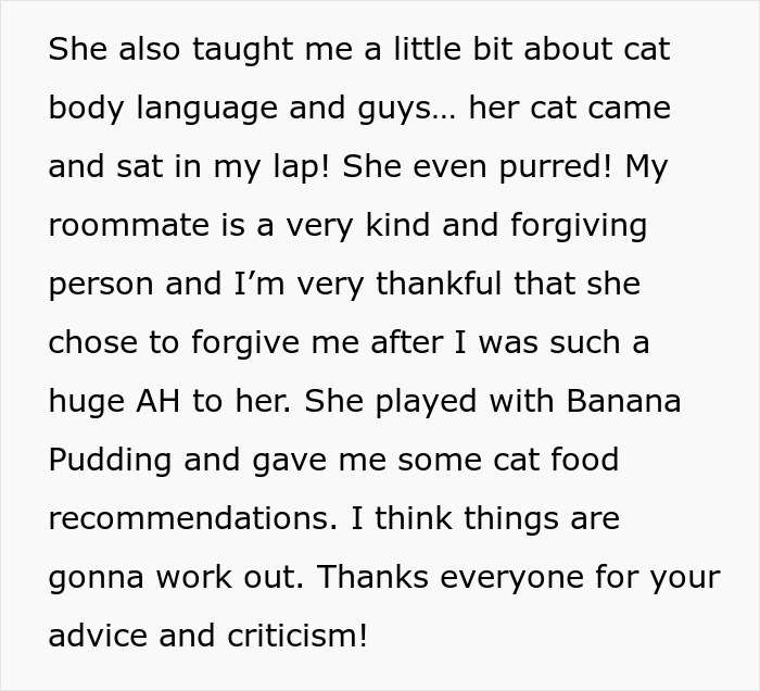 Woman Thinks It's Unfair She Has To Tiptoe Around Roommate's Cat's "Asocial" Needs, Starts A Feud After Adopting Her Own Kitten