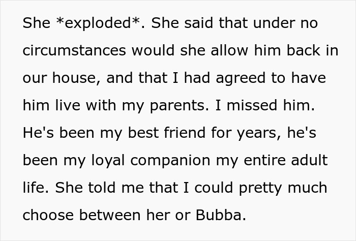 "Her Or The Cat": Man Asks For Advice After Wife Who Went Through Stillbirth Refuses To Allow His Beloved Pet Back In The House