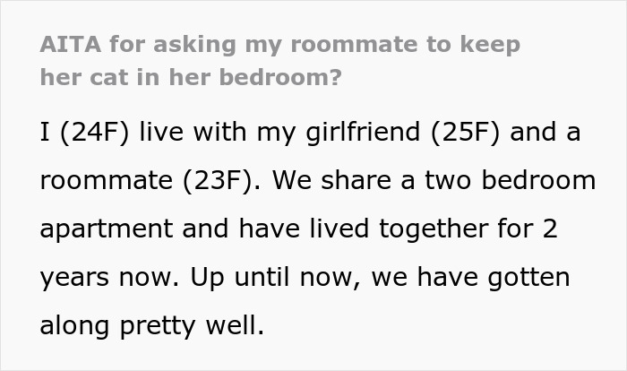 Woman Thinks It's Unfair She Has To Tiptoe Around Roommate's Cat's "Asocial" Needs, Starts A Feud After Adopting Her Own Kitten