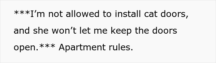 Wife&rsquo;s Lie Surfaces When Husband Decides To Stay Up All Night And Check If His Cats Really Wake His Wife Up