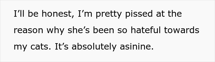Wife&rsquo;s Lie Surfaces When Husband Decides To Stay Up All Night And Check If His Cats Really Wake His Wife Up