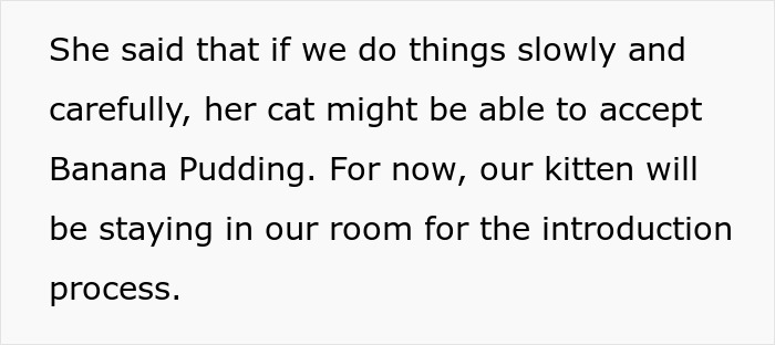 Woman Thinks It's Unfair She Has To Tiptoe Around Roommate's Cat's "Asocial" Needs, Starts A Feud After Adopting Her Own Kitten