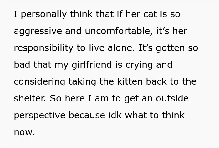Woman Thinks It's Unfair She Has To Tiptoe Around Roommate's Cat's "Asocial" Needs, Starts A Feud After Adopting Her Own Kitten