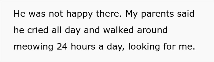 "Her Or The Cat": Man Asks For Advice After Wife Who Went Through Stillbirth Refuses To Allow His Beloved Pet Back In The House