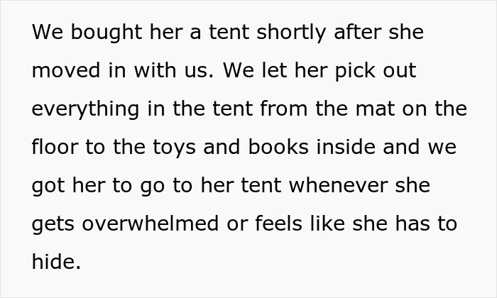 6 Y.O. With Special Needs Has Tent Nobody Can Enter As Her Safe Space, Guests Are Upset That It Was Put Up In The Living Room 6 Y.O. With Special Needs Has Tent Nobody Can Enter As Her Safe Space, Guests Are Upset That It Was Put Up In The Living Room