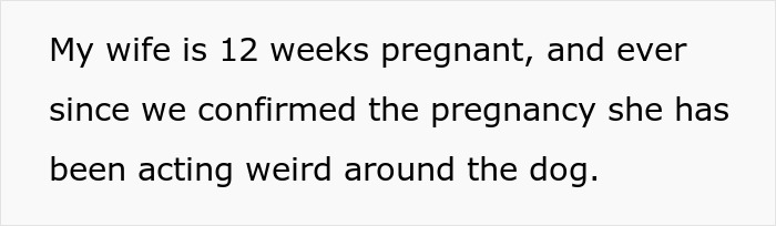 Wife Says Husband Is Prioritizing The Dog Over Her Pregnancy After He Refuses To Get Rid Of It And Break His Son's Heart