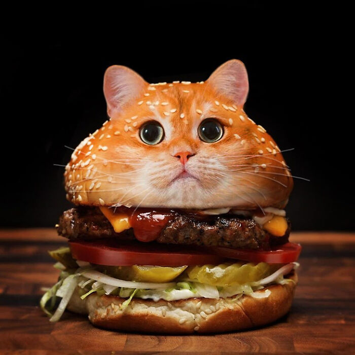 A Photoshop Artist Uses His Imagination To Insert Animals Where You Wouldn't Expect Them To Be ( 18 Pics)