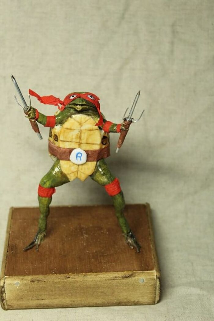 A humorous example of bad taxidermy: a frog dressed as a ninja turtle, complete with red mask and weapons.