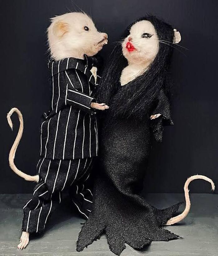 Two mice in a humorous bad taxidermy scene, dressed in formal black attire as if dancing together.