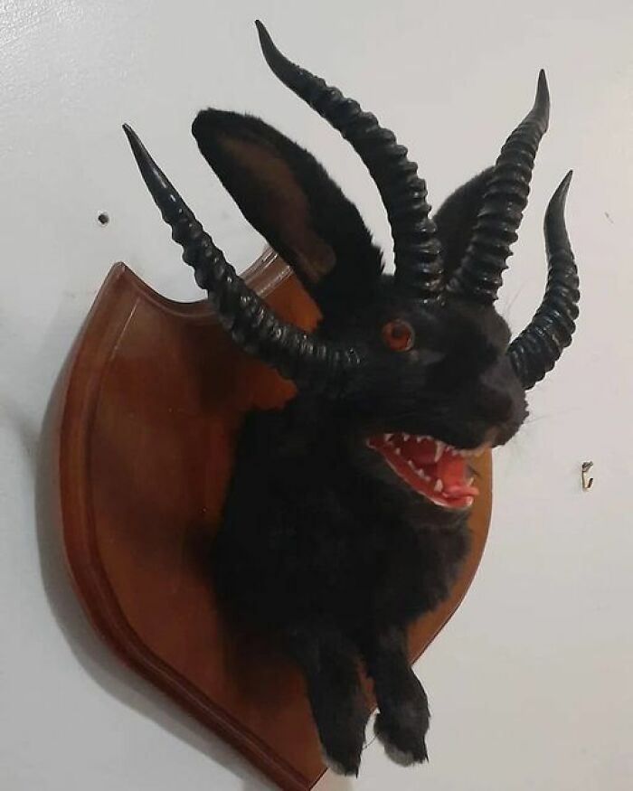 Bad taxidermy example with a creature featuring multiple horns and sharp teeth mounted on a wooden plaque.