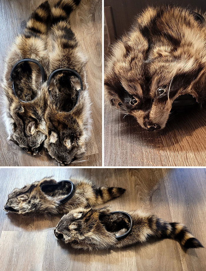 Bad taxidermy example: slippers made from animal pelts with faces, creating a humorous yet eerie appearance.