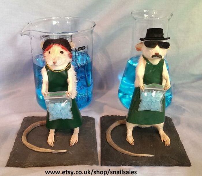 Two mice dressed in costumes with blue liquid-filled beakers behind, showcasing funny bad taxidermy.