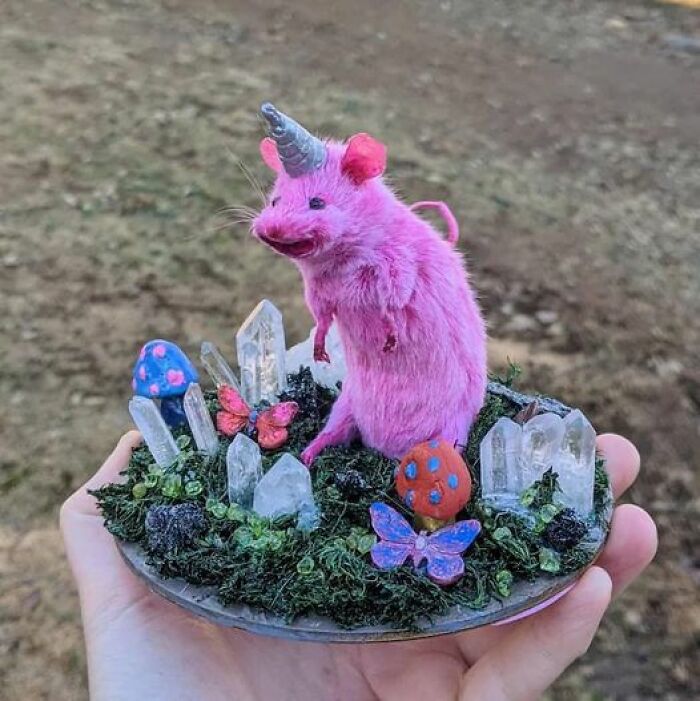 Pink unicorn mouse taxidermy on a hand-held display with crystals and mushrooms, exemplifying bad taxidermy humor.