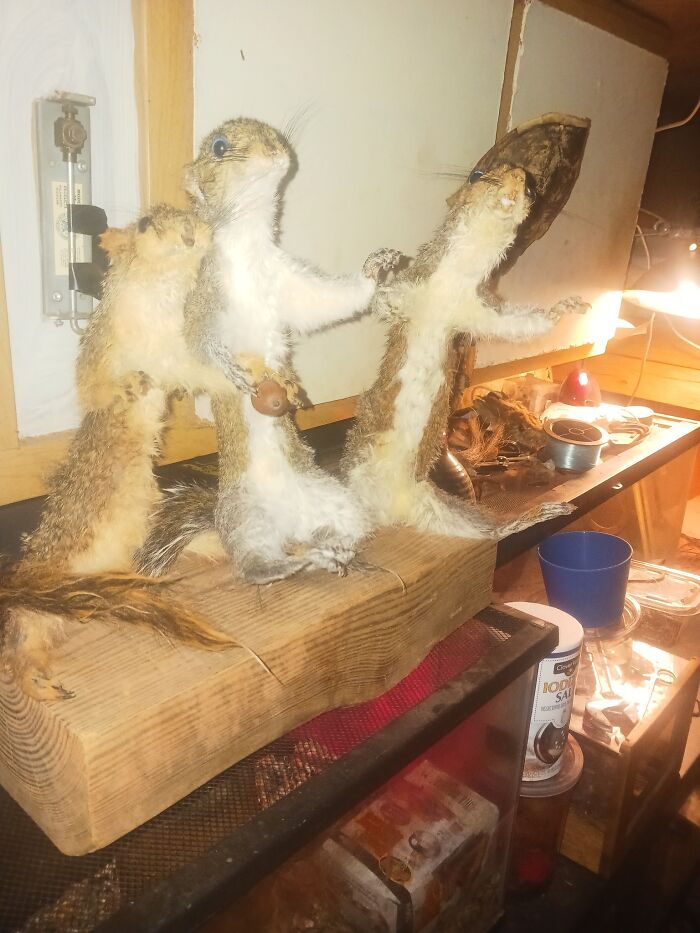 Three poorly preserved squirrels stand on a wooden block, exemplifying bad taxidermy in a cluttered workshop.
