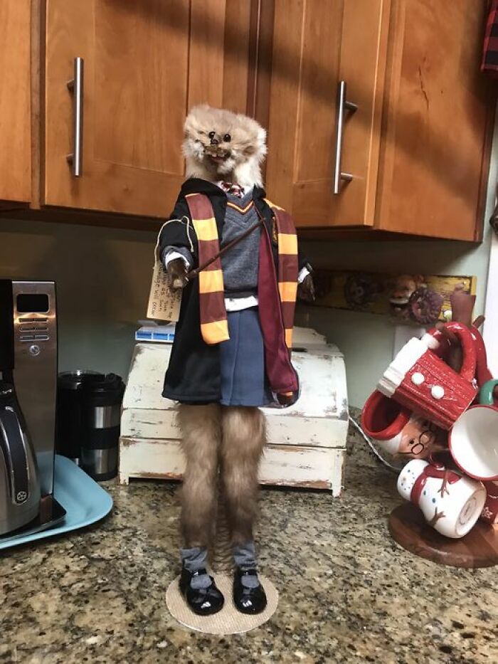 "I’m Hoping To Do Some Good In The World"