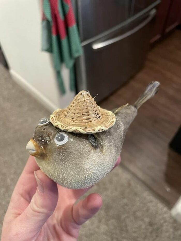 Bad taxidermy: a fish with googly eyes and a straw hat, held in hand for humorous effect.