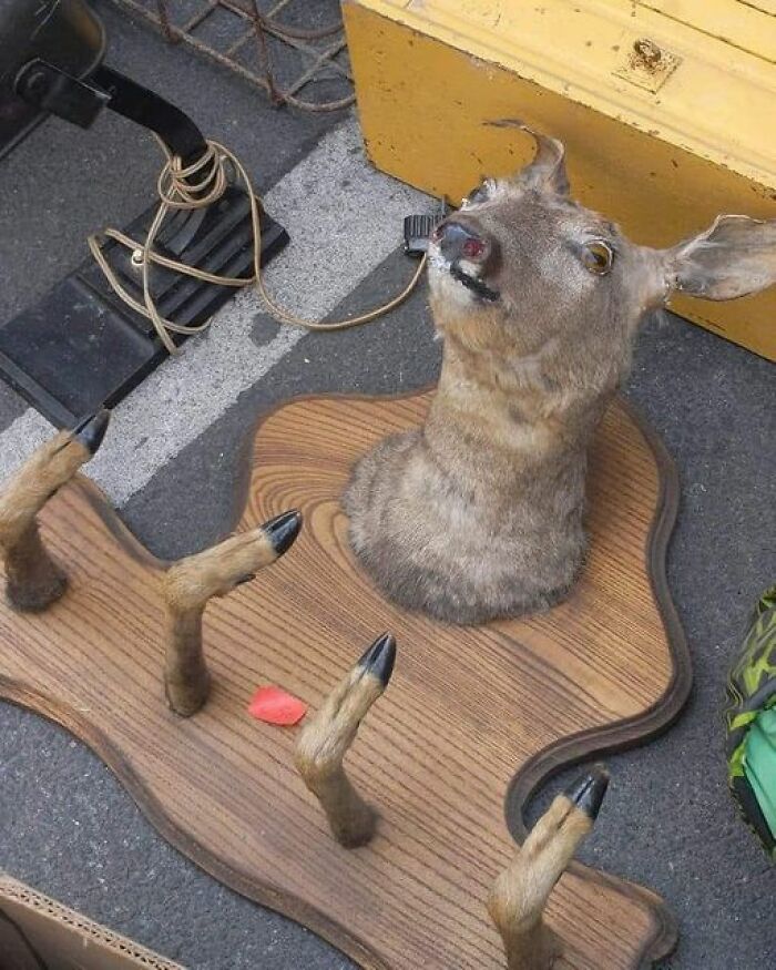 Now Look At This Bad Boy