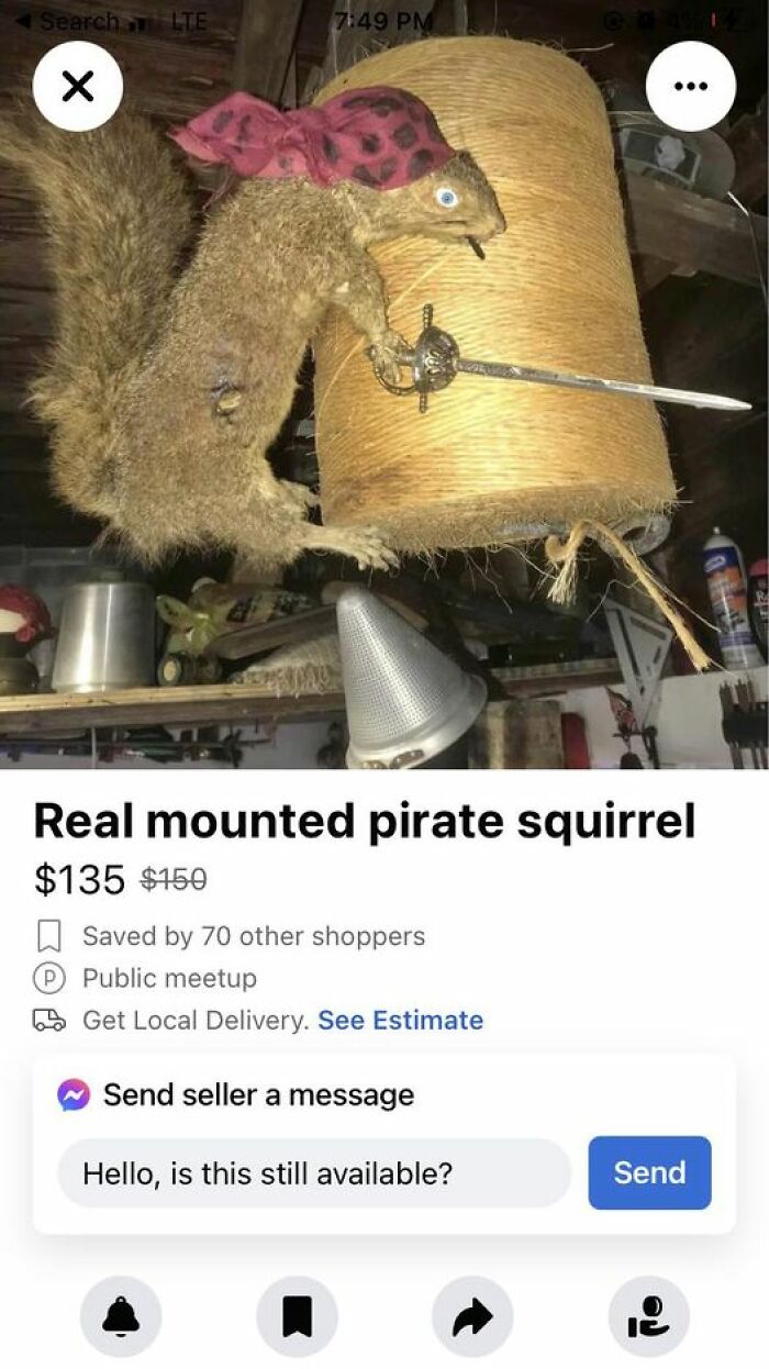 Bad taxidermy squirrel dressed as a pirate with a sword, wearing a red bandana, mounted for sale.