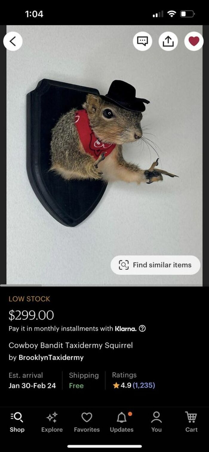 Cowboy bandit squirrel in a red bandana and hat, an example of bad taxidermy that's humorously horrific.