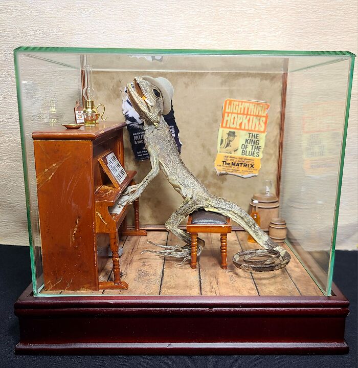 Lizard taxidermy playing a miniature piano in a humorous pose, encased in glass.