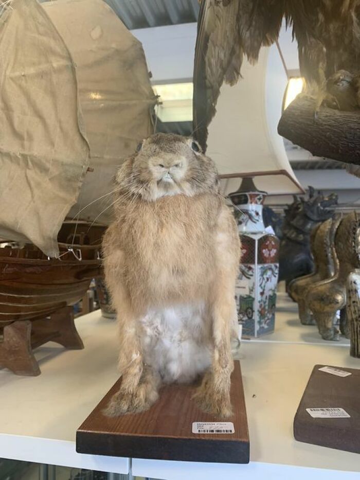 Found At A Flea Market In Denmark