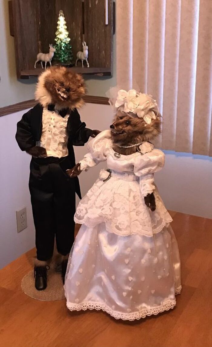 Bad taxidermy featuring dressed-up animals in formal attire, humorously posed as a couple.